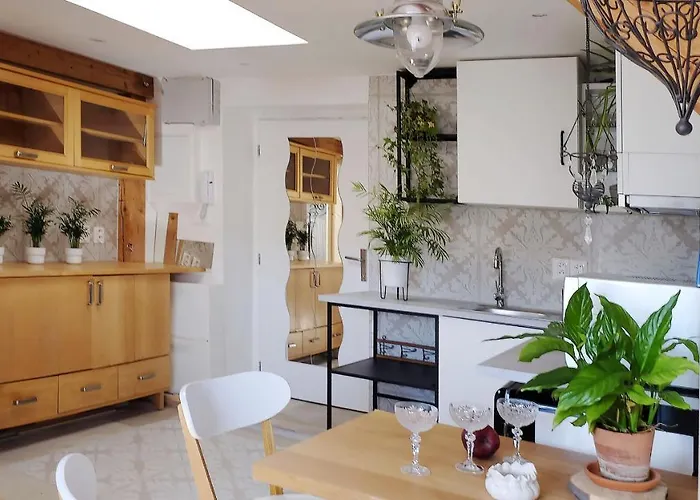 Blizko Centra, Zilinska 20